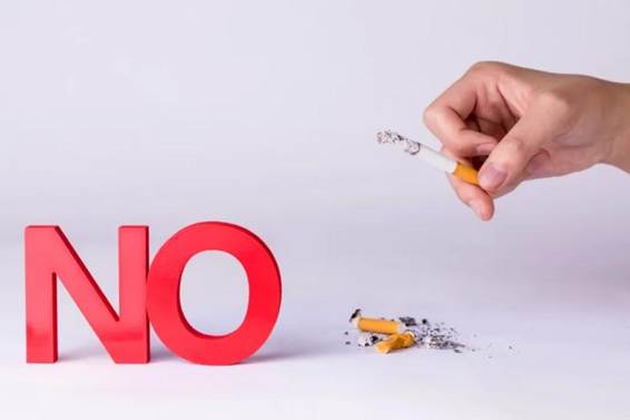 e453c6428252ba5a9dbf3897b27e17e